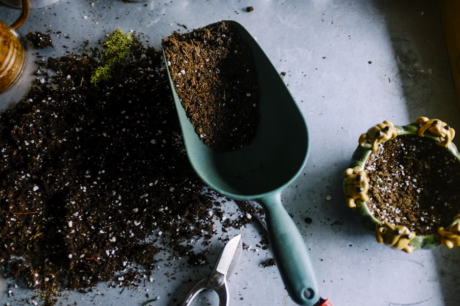 A scoop of dark compost