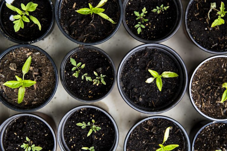 Why we stopped digging, and what five years of no-dig taught us